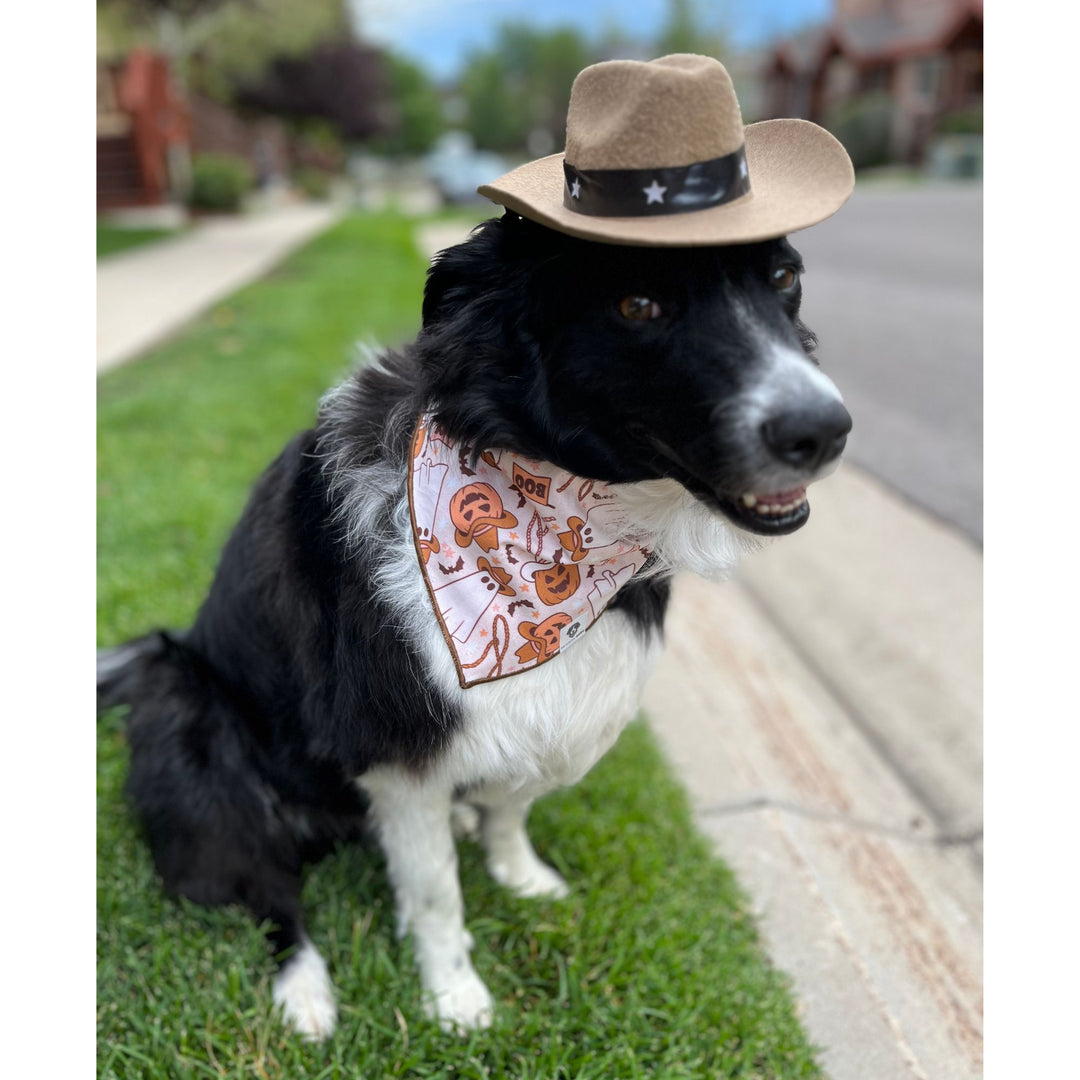 Cowboy Halloween Spooky Tie-On Dog Bandana