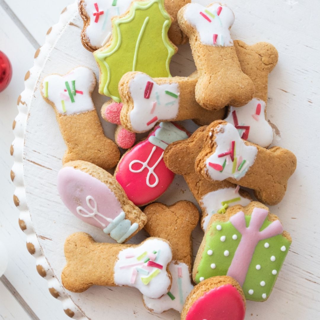 Deck the Paws Christmas Dog Treat Bag