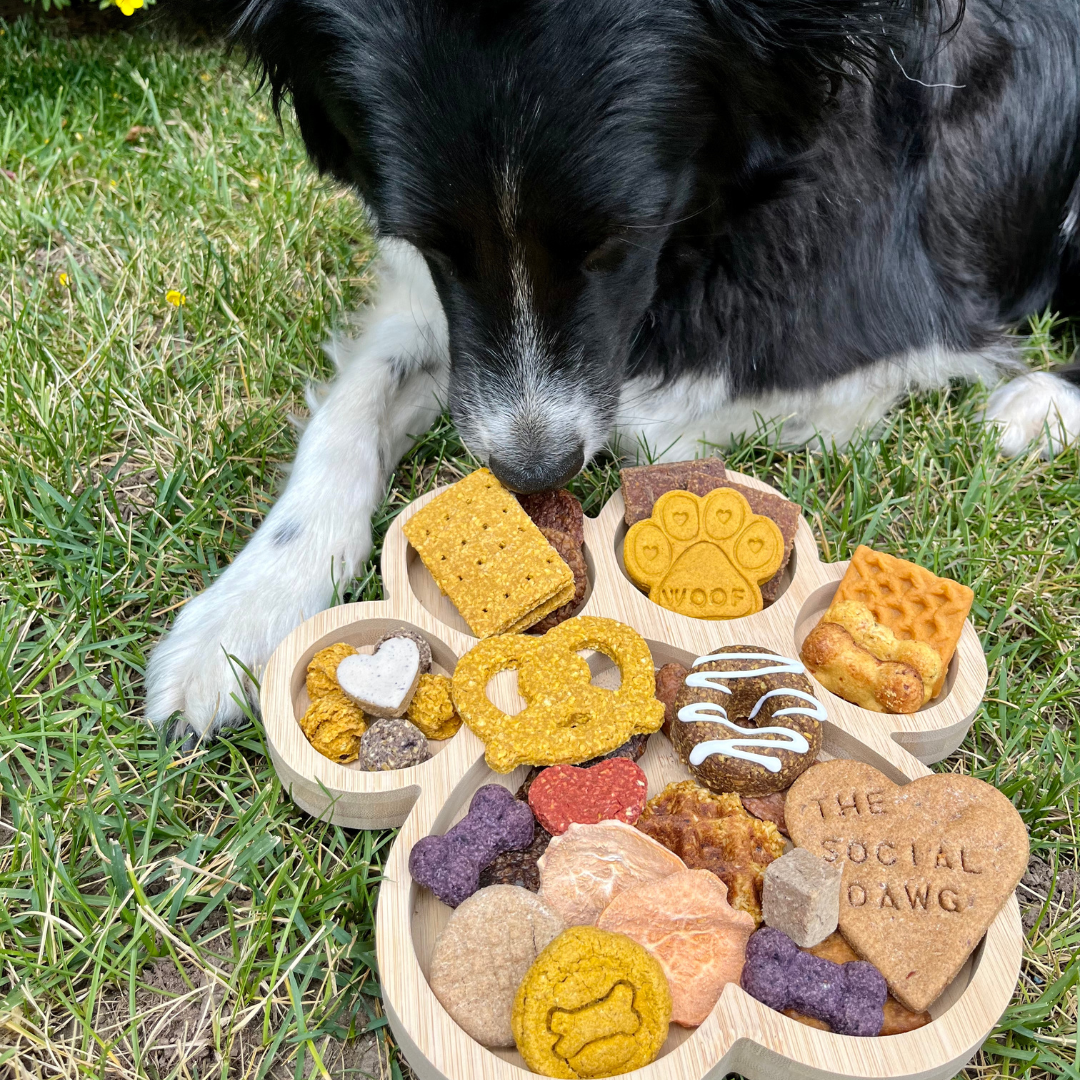 Paw Shaped Dog Barkuterie Board