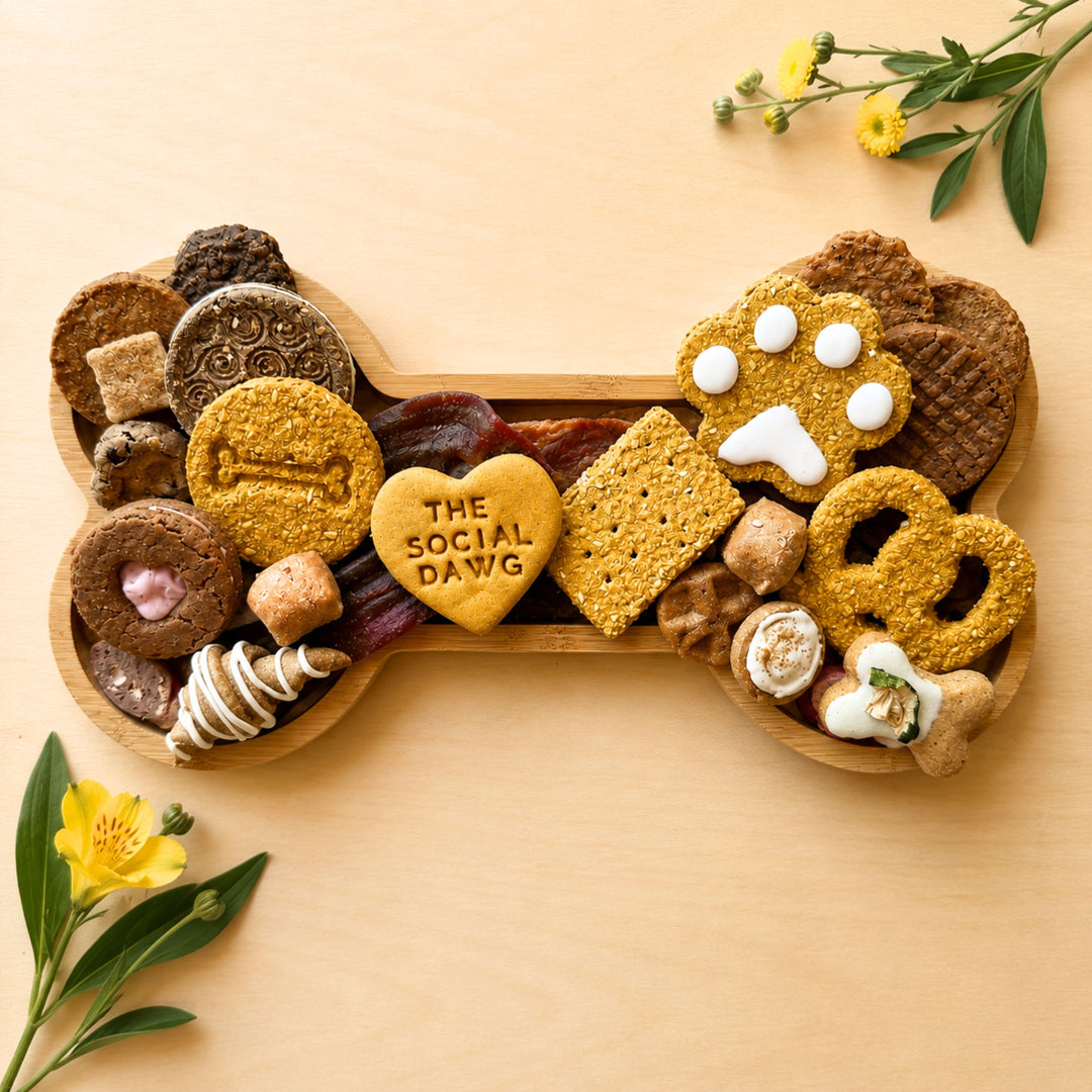 Bone Barkuterie Dog Treat Board