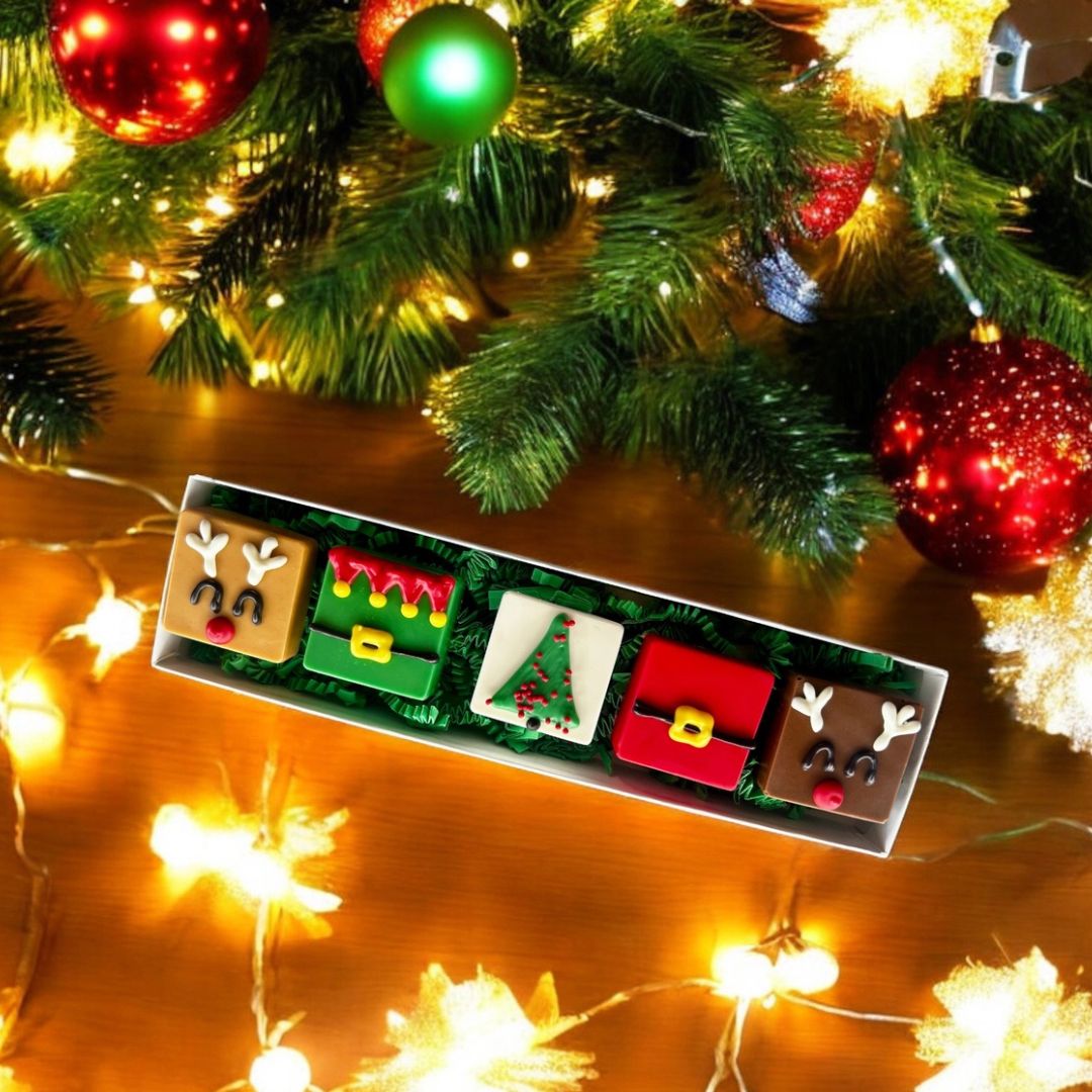 Pawliday Truffle Dog Treat Box