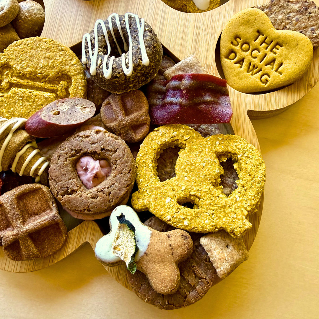 Paw Barkuterie Dog Treat Board