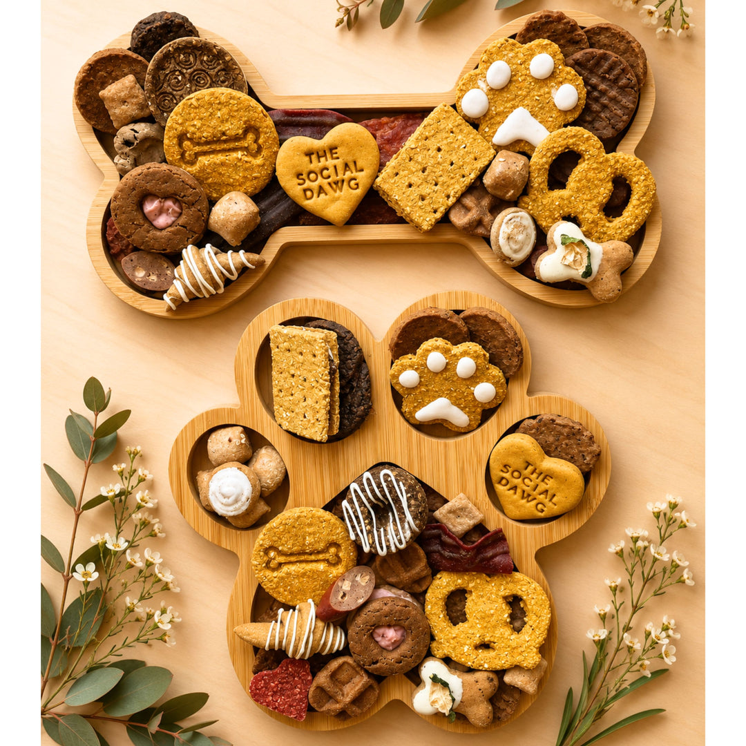 Paw Barkuterie Dog Treat Board