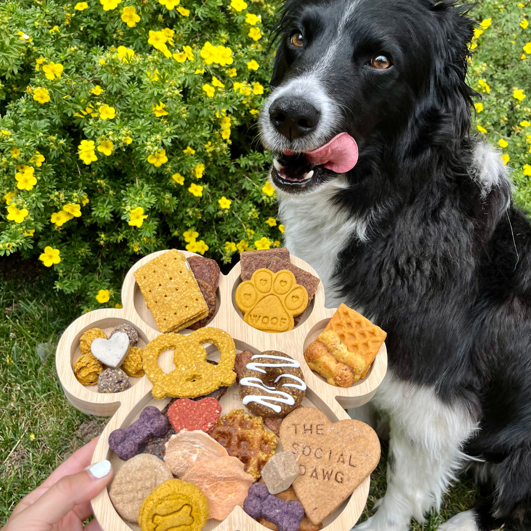 Paw Shaped Dog Barkuterie Board