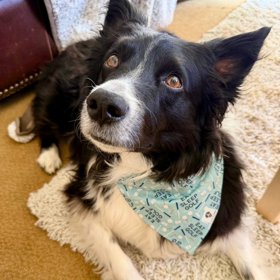 Eat Sleep Golf Slip-On Dog Bandana