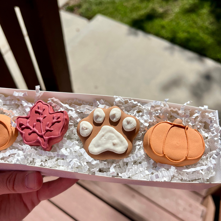Fall Biscuit Dog Treat Box - 6 count