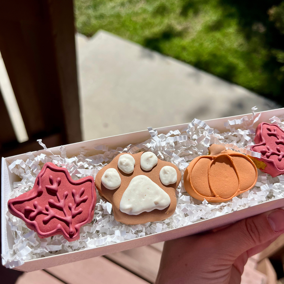 Fall Biscuit Dog Treat Box - 6 count