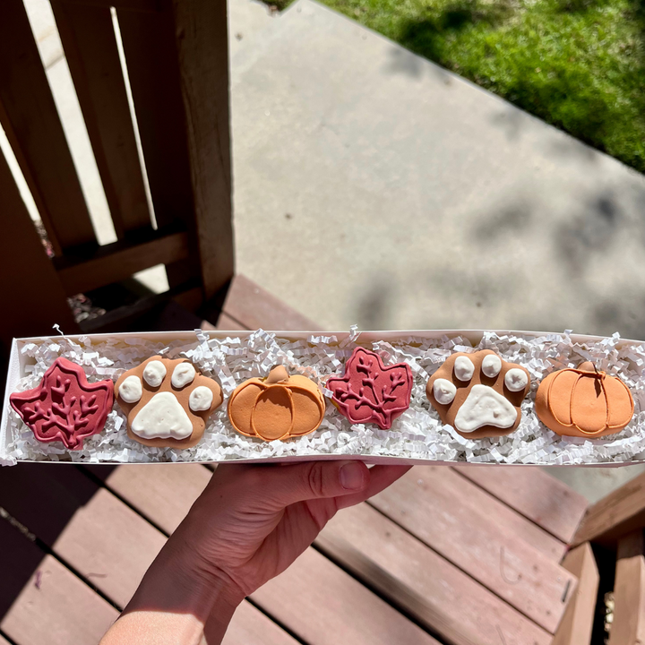 Fall Biscuit Dog Treat Box - 6 count