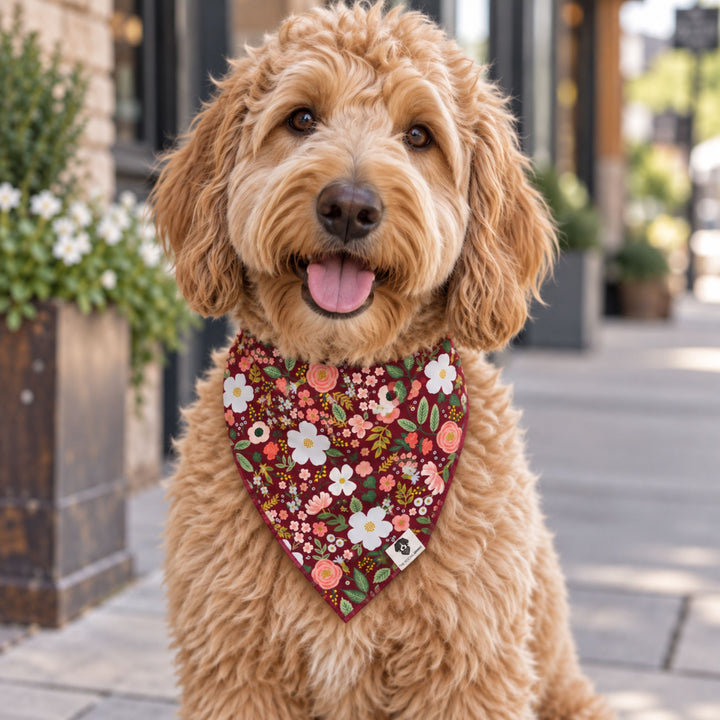 Fall Floral Tie-On Dog Bandana
