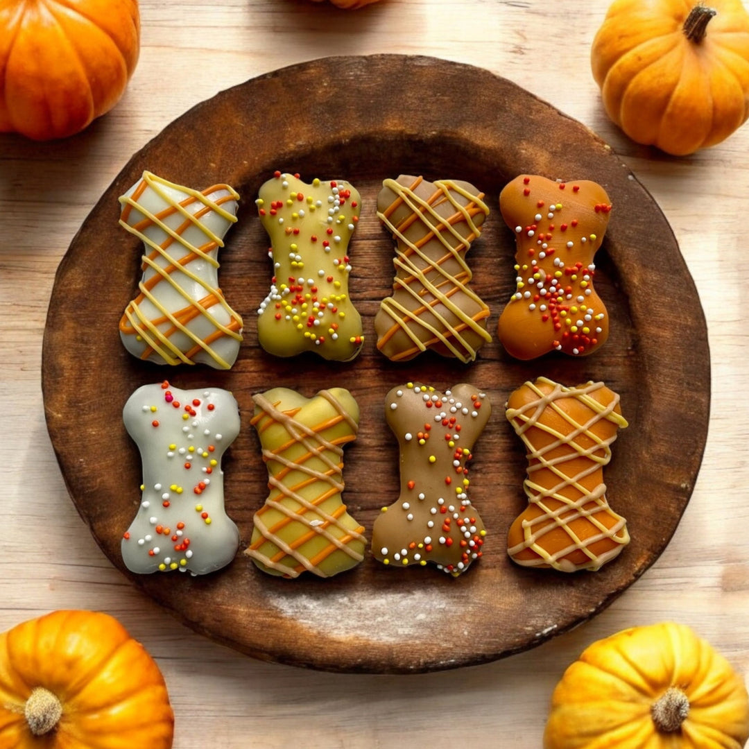 Fall Mini Bones Treat Box - 6 count