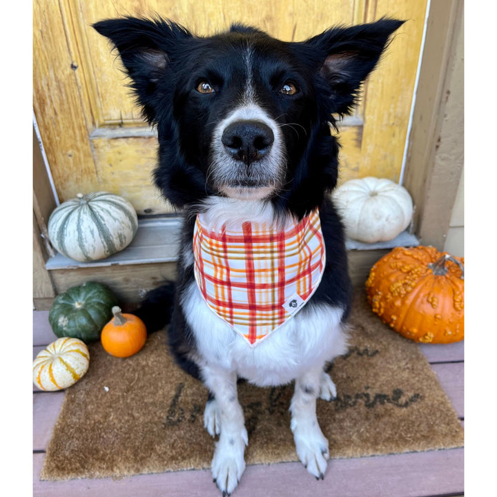 Fall Watercolor Plaid Tie-On Dog Bandana
