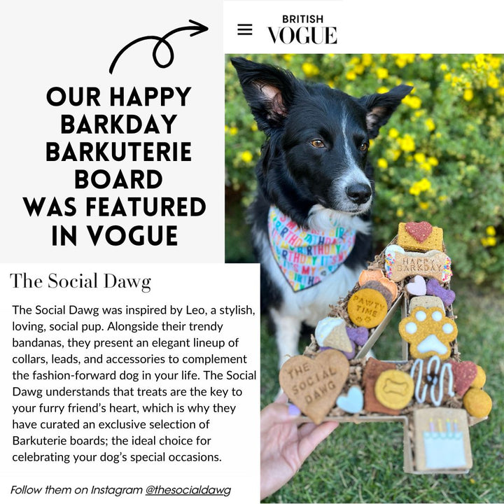 Happy Barkday Number Dog Barkuterie Board