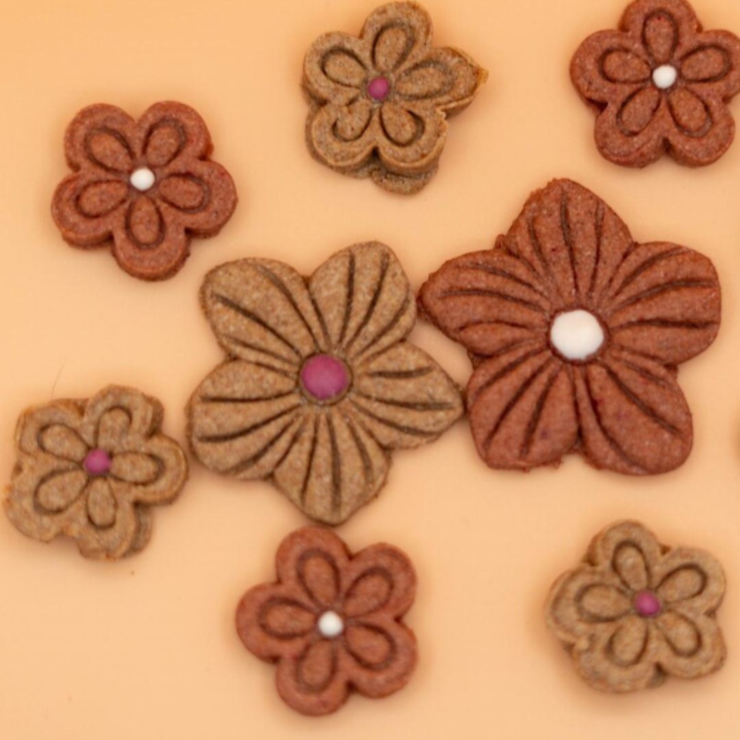 Autumn Blooms Dog Treat bag