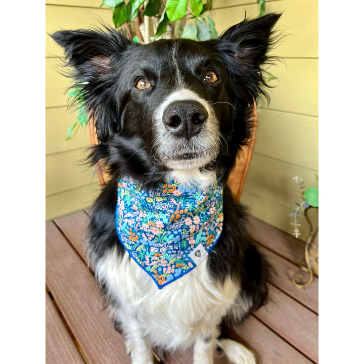 Floral Meadow Tie-On Dog Bandana