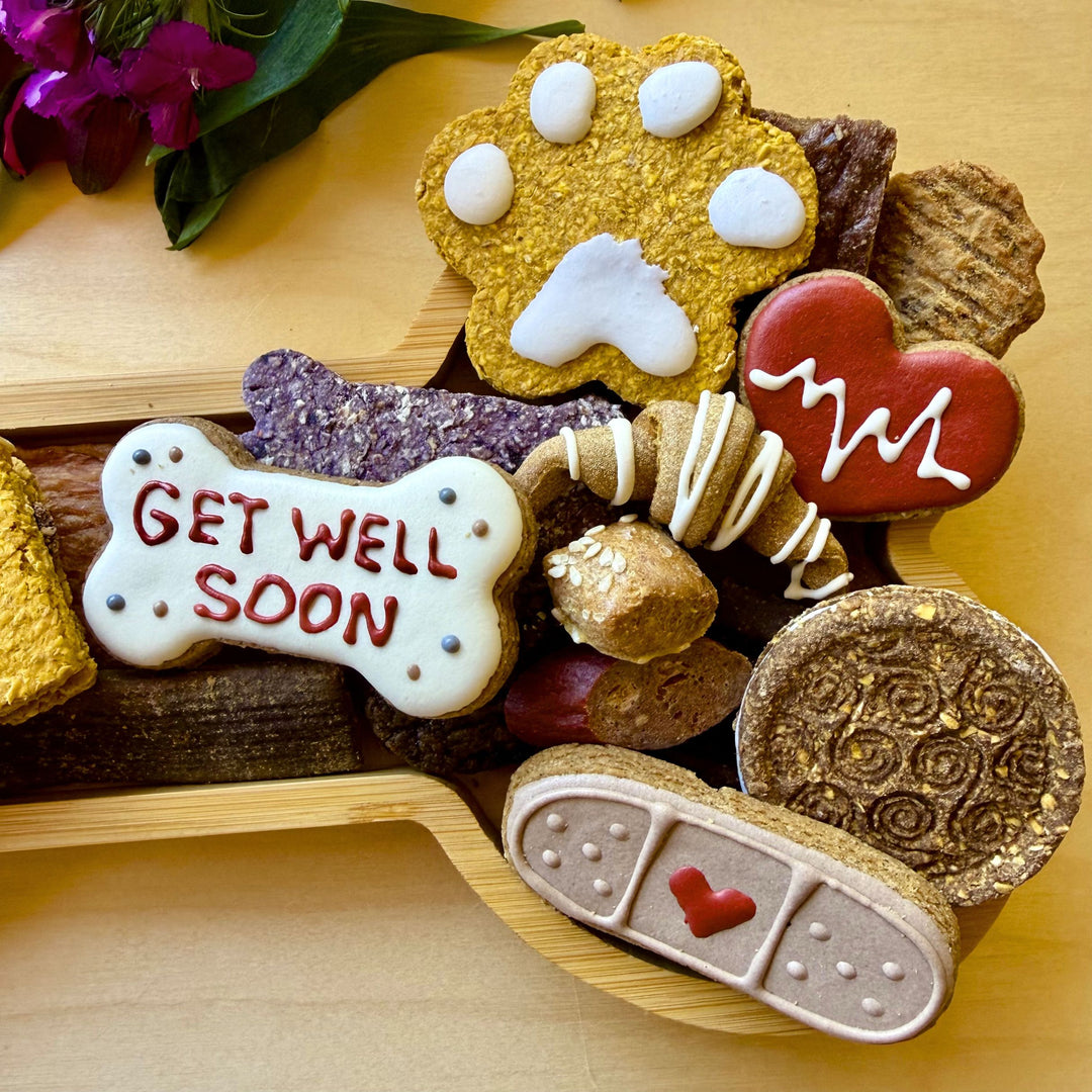 Get Well Soon Dog Bone Barkuterie Treat Board