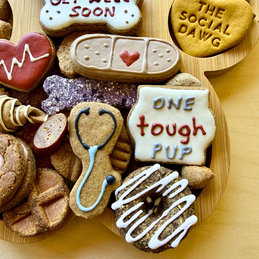 Get Well Soon Paw Barkuterie Dog Treat Board