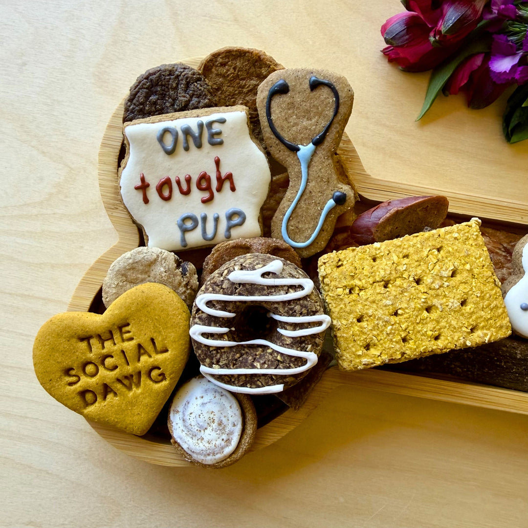 Get Well Soon Dog Bone Barkuterie Treat Board