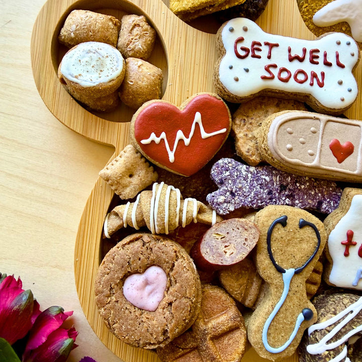 Get Well Soon Paw Barkuterie Dog Treat Board
