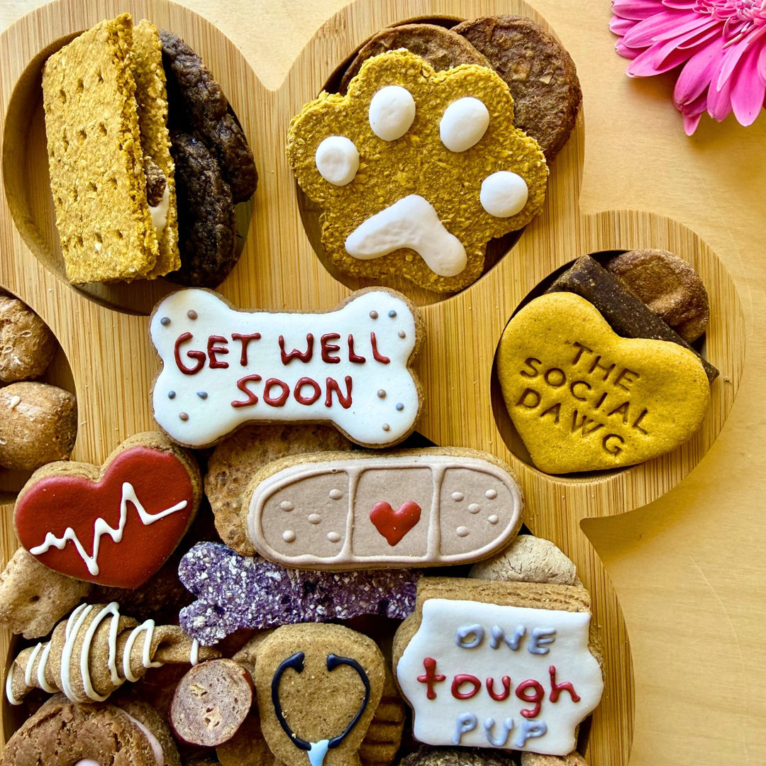 Get Well Soon Paw Barkuterie Dog Treat Board