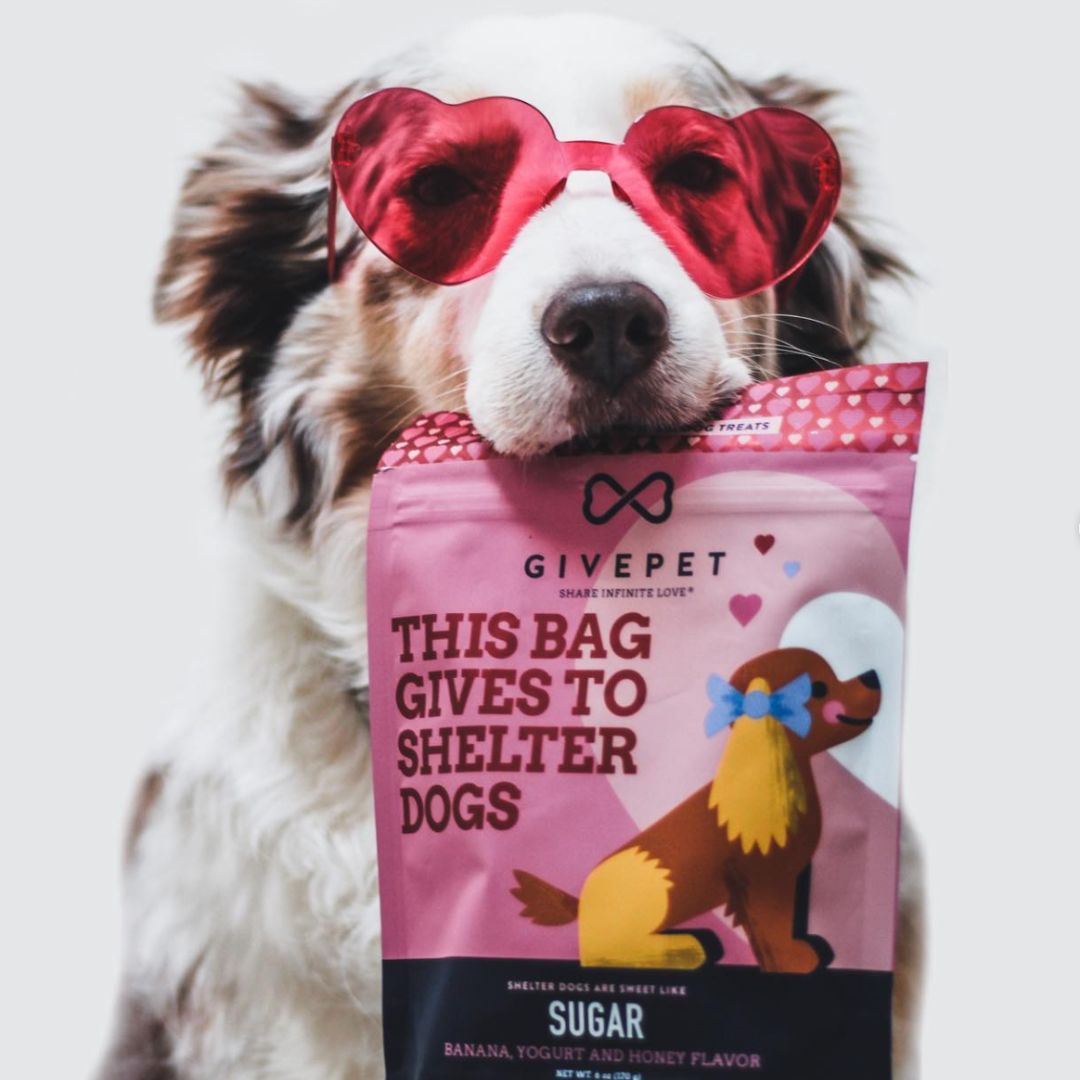 Give Pet Sugar Soft-Baked Dog Treats