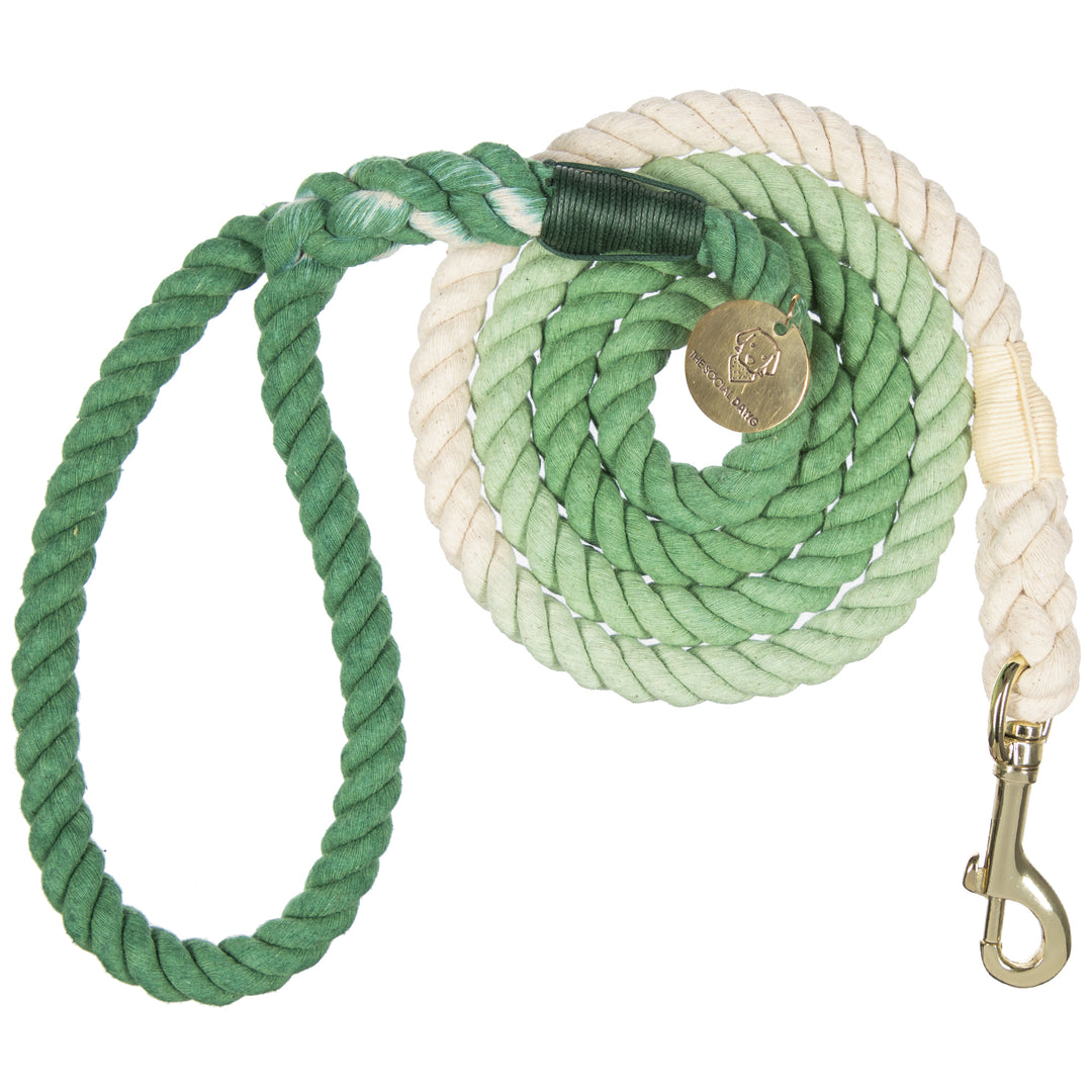 Green Ombré Cotton Rope Dog Leash
