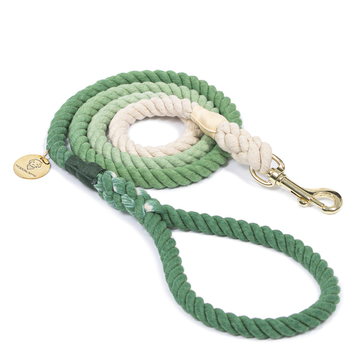 Green Ombré Cotton Rope Dog Leash