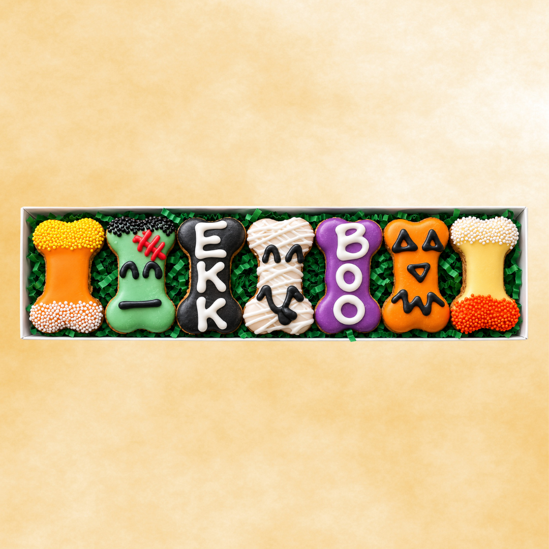 PREORDER - Halloween Bones Mini Dog Treat Box