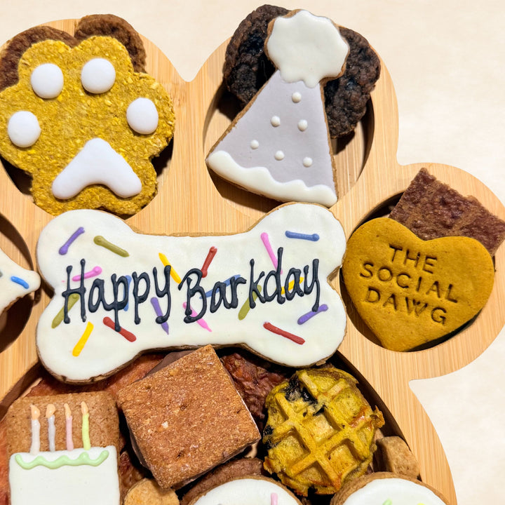 Happy Barkday Paw Barkuterie Dog Treat Board