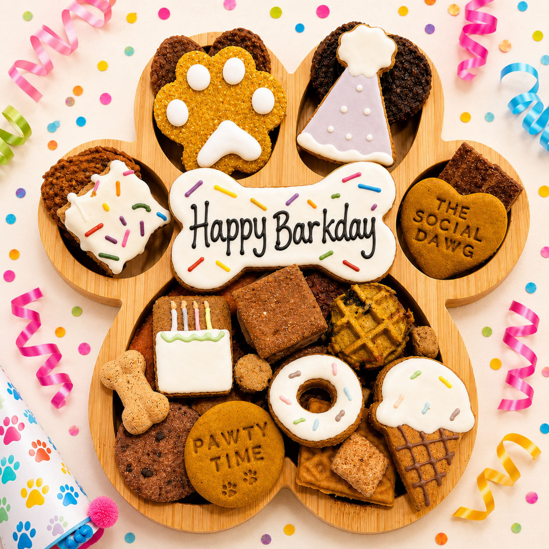 Happy Barkday Paw Barkuterie Dog Treat Board