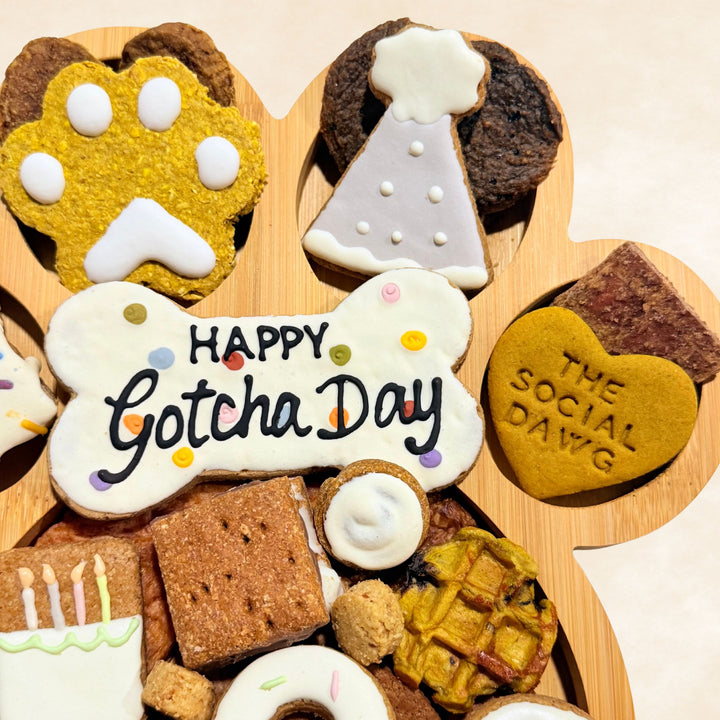 Happy Gotcha Day Paw Barkuterie Dog Treat Board