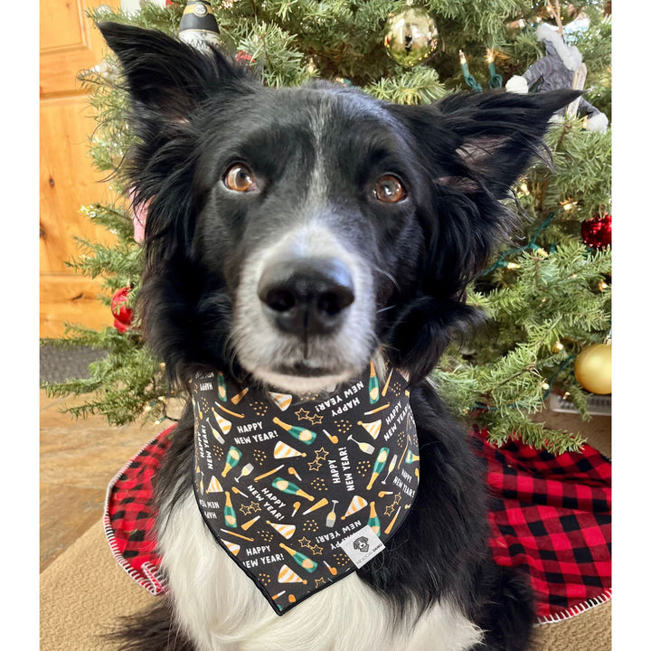 Happy New Year Tie-On Dog Bandana - Black