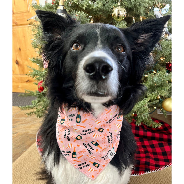 Happy New Year Tie-On Dog Bandana - Pink