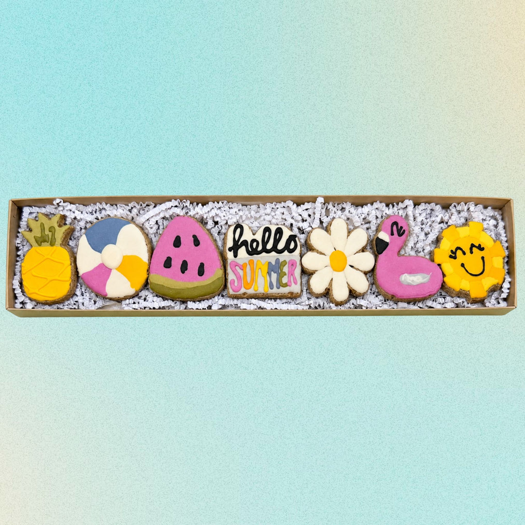 Hello Summer Dog Treat Box - 7 count