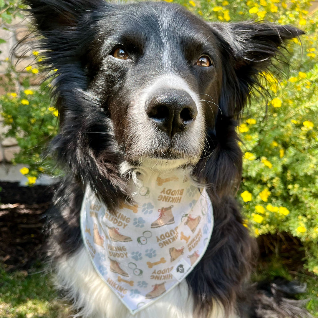 Hiking Buddy Tie-On Dog Bandana