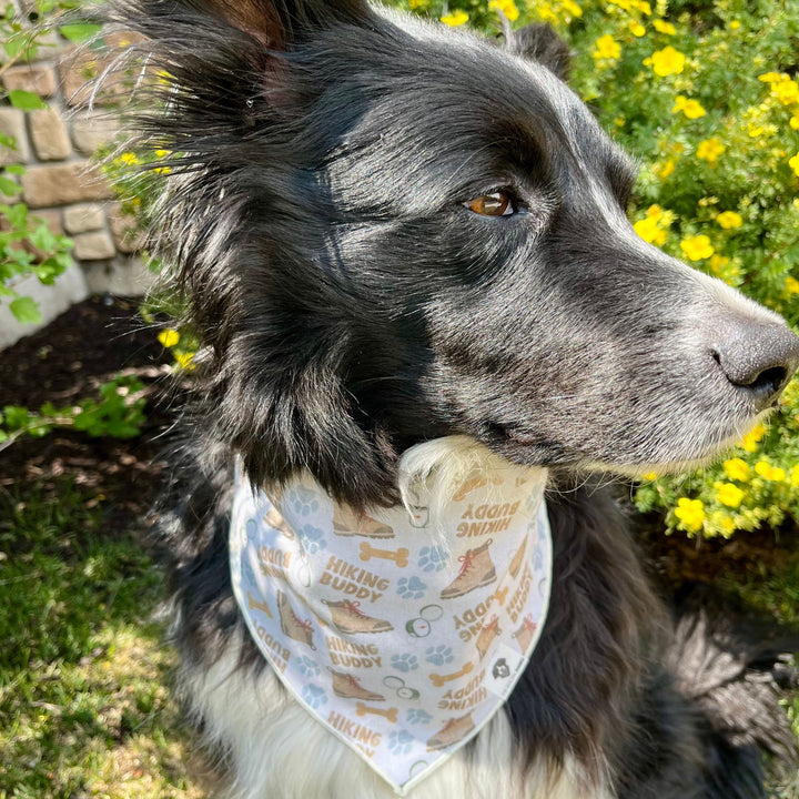 Hiking Buddy Tie-On Dog Bandana