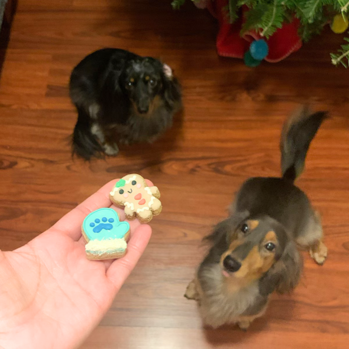 Holiday Dog Advent Calendar - 25 Days of Treats