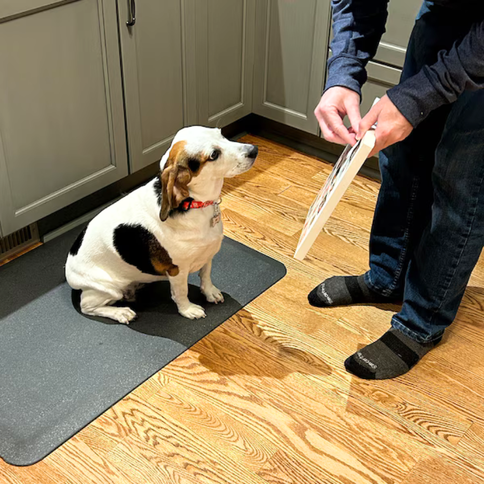 Holiday Dog Advent Calendar - 25 Days of Treats