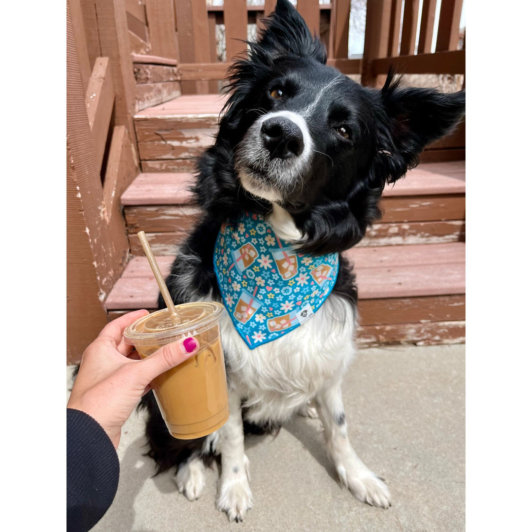 Iced Coffee Tie-On Dog Bandana