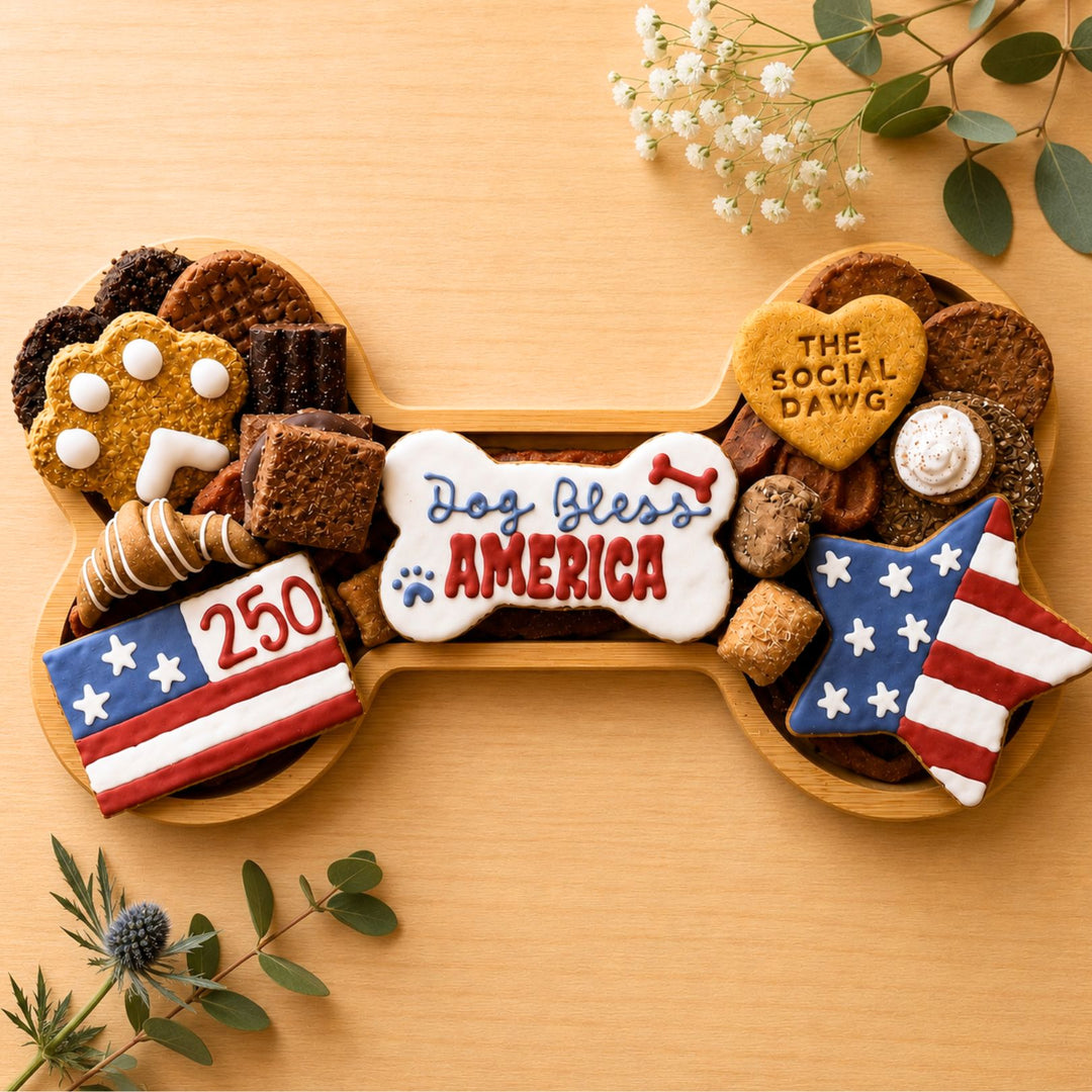 Dog Bless America Patriotic Bone Barkuterie Treat Board