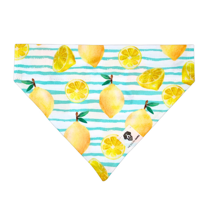 Lemon Slip-On Dog Bandana