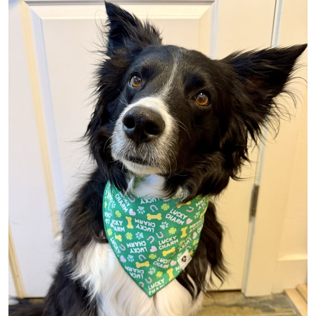 St. Patrick's Lucky Charm Tie-On Dog Bandana