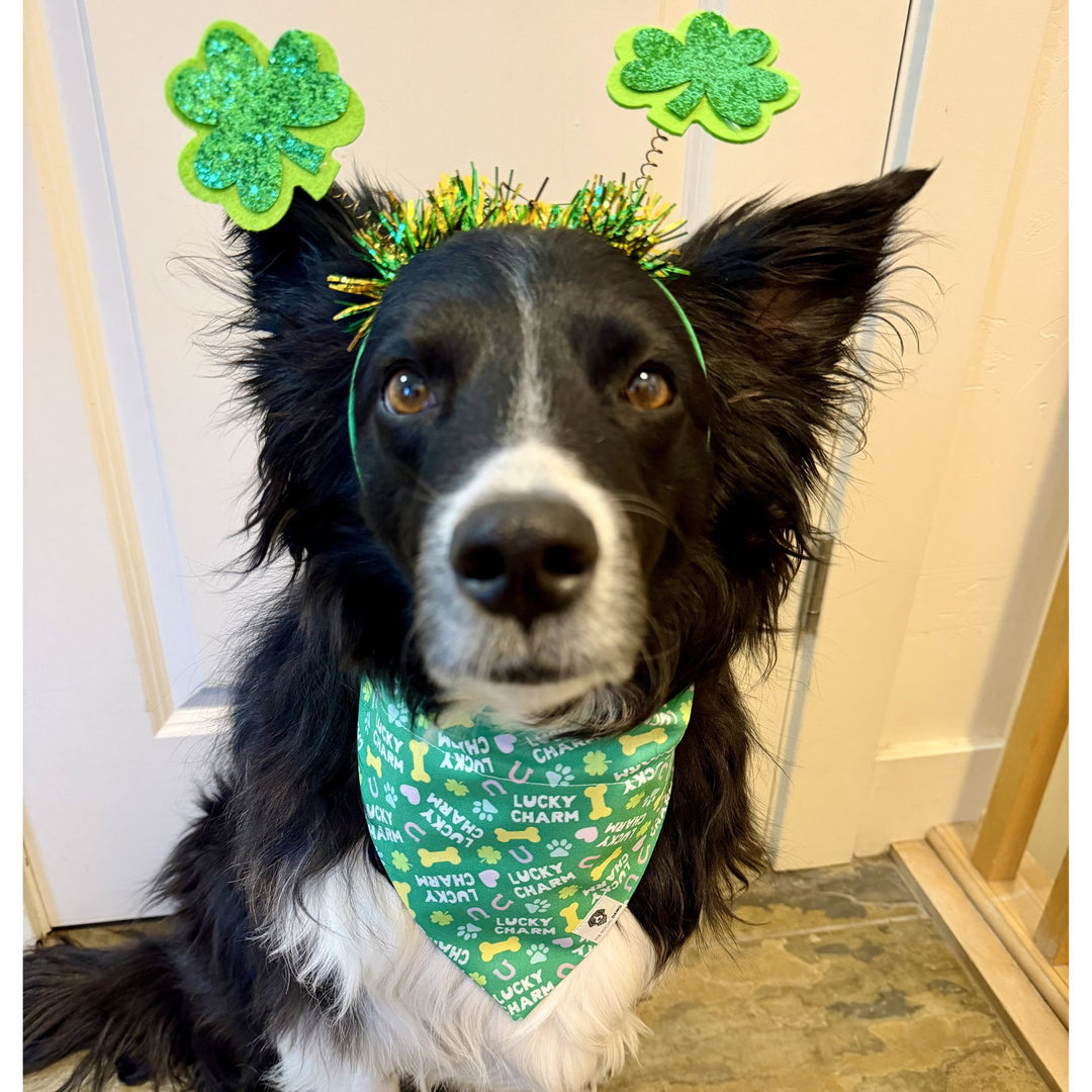 St. Patrick's Lucky Charm Slip-On Dog Bandana