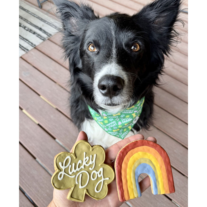Lucky Dog Treats - 2 Pack