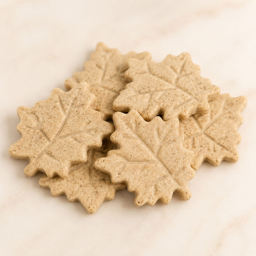 Maple Apple Fall Dog Treat Bag