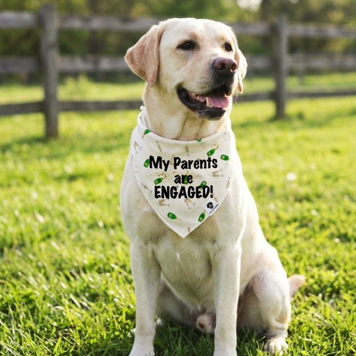 Engagement Dog Bandana – “My Parents Are Engaged” Champagne Tie-On Dog Bandana