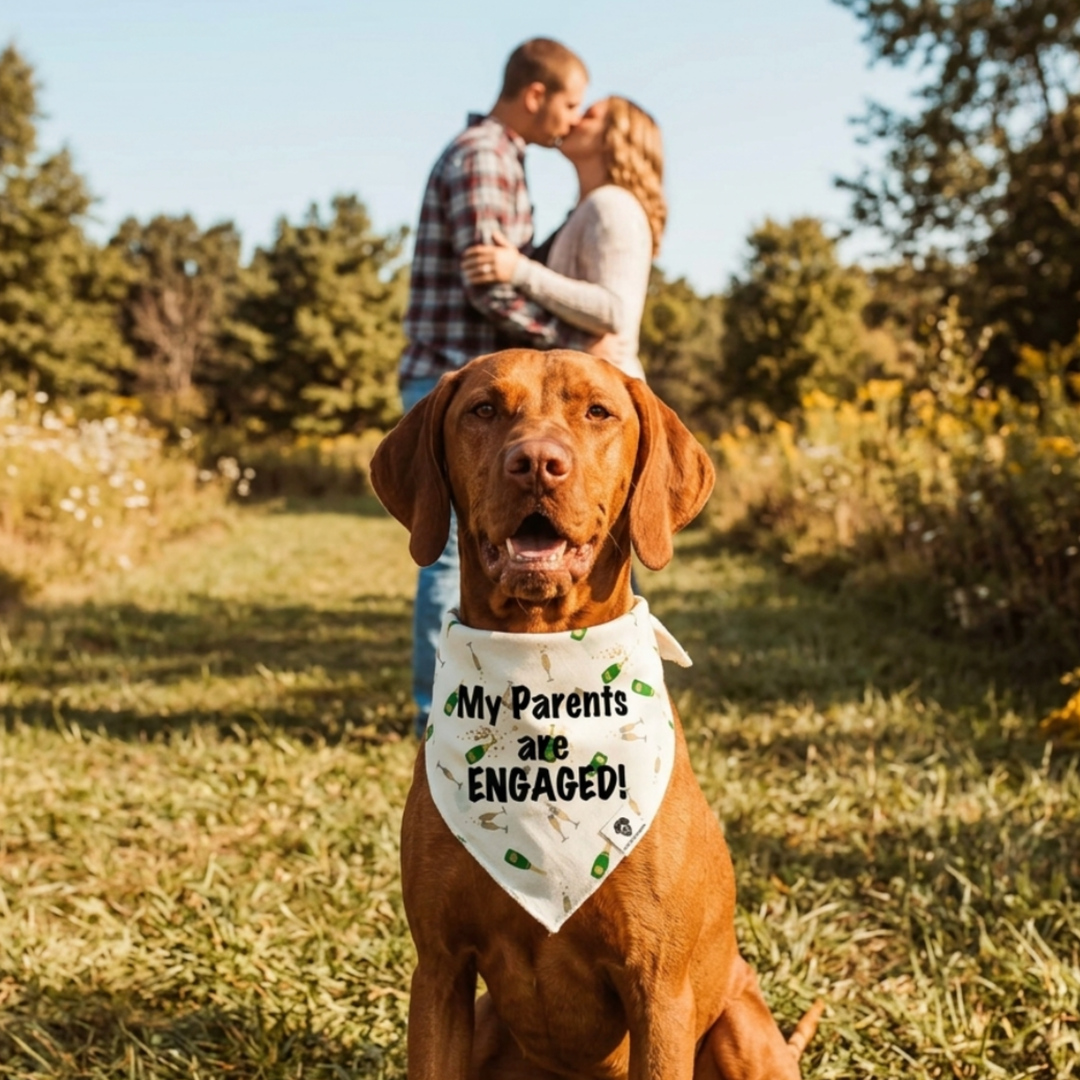 Engagement Dog Bandana – “My Parents Are Engaged” Champagne Tie-On Dog Bandana