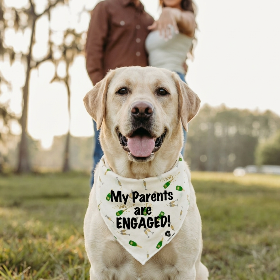 Engagement Dog Bandana – “My Parents Are Engaged” Champagne Tie-On Dog Bandana
