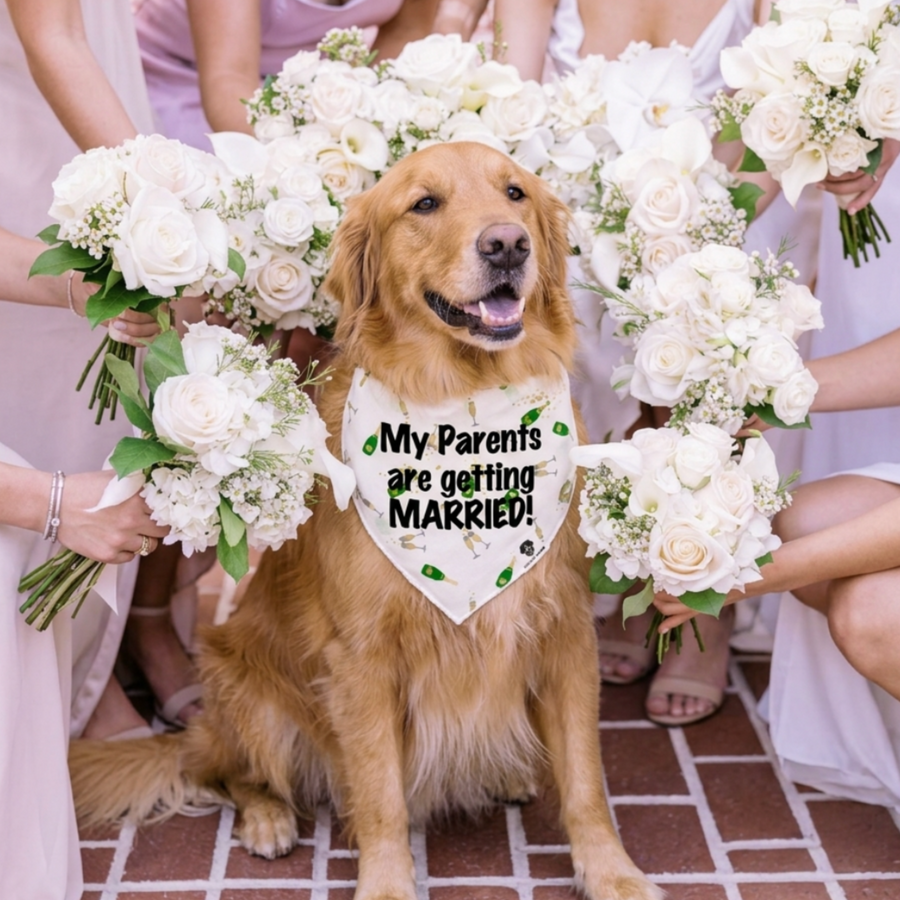 Dog wearing a wedding-themed bandana surrounded by people with bouquets on a tiled floor.