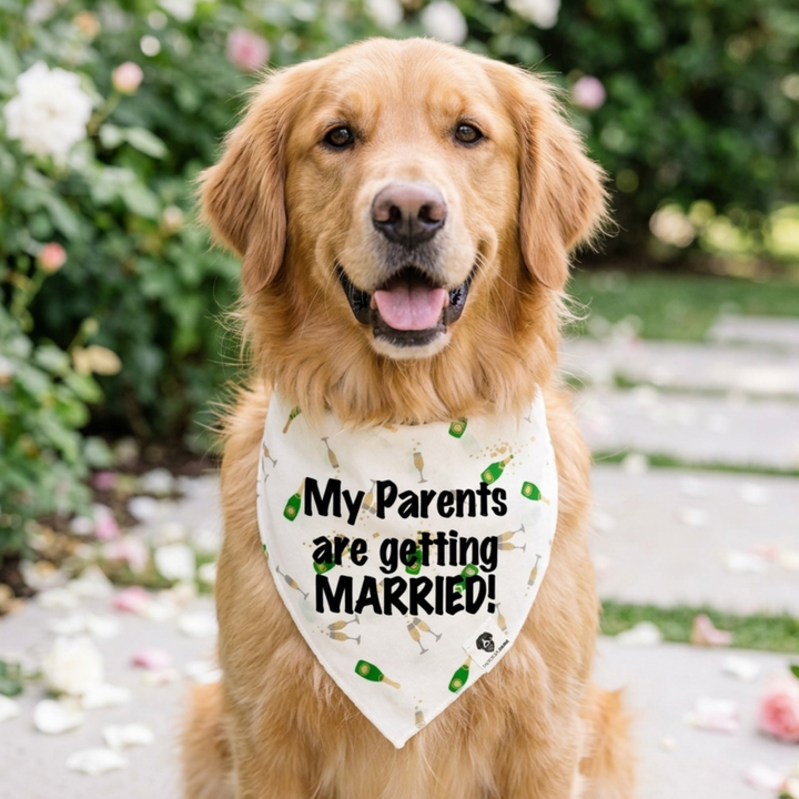 Wedding Announcement Dog Bandana – “My Parents Are Getting Married” Champagne Dog Bandana