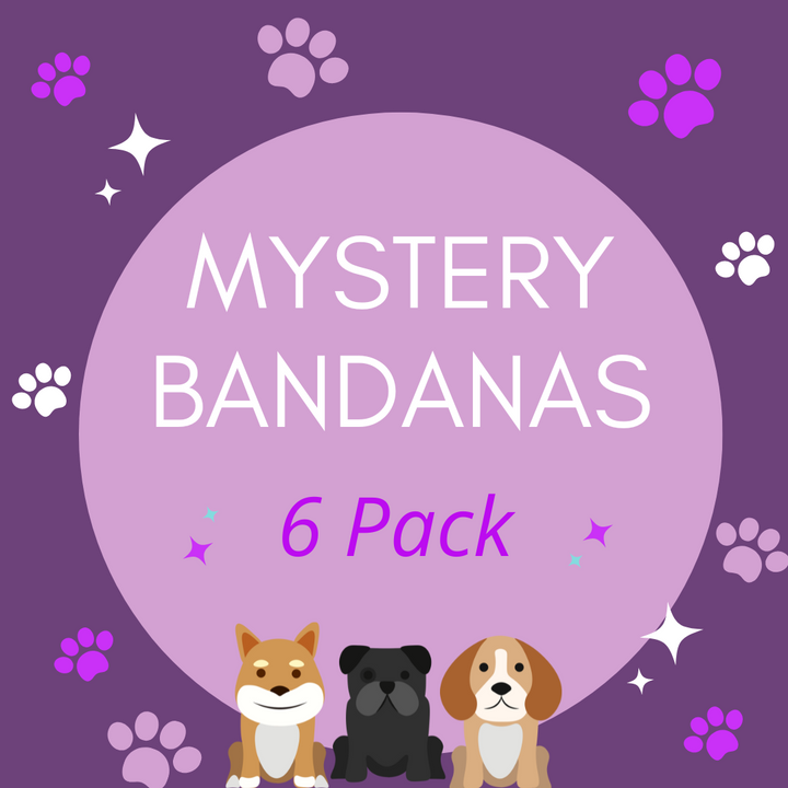 MYSTERY BANDANAS - 6 PACK